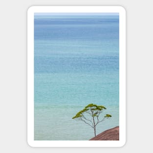 Small tree and big vast ocean scenery Sticker